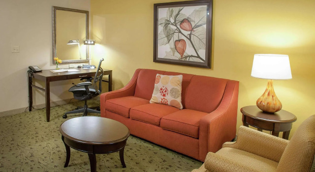 Двухместный полулюкс Hilton Garden Inn Pensacola Airport/Medical Center