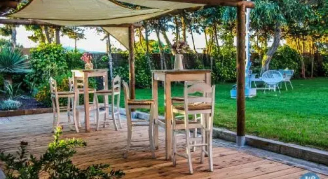 Nexo Surf House