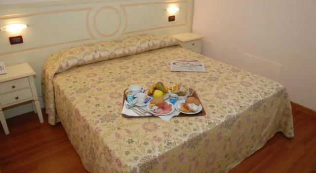 Двухместный номер Standard Hotel Plazza