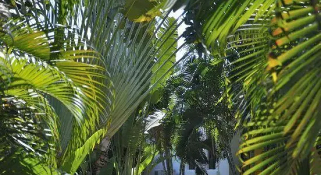 Номер Deluxe Villa Baan Malinee