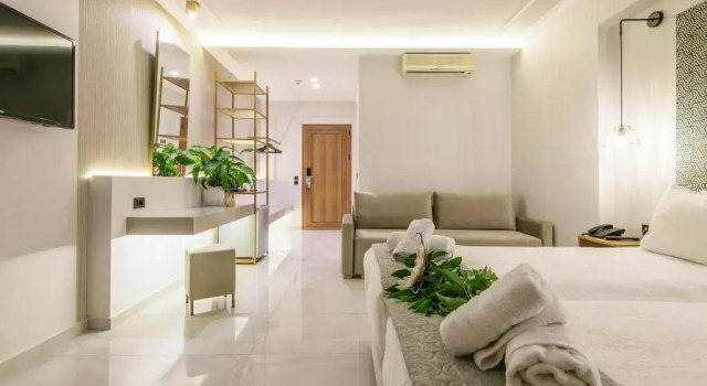Двухместный номер Deluxe Plaza Pallas