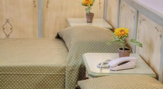 Номер Standard Villa Santa Margherita - Albergo