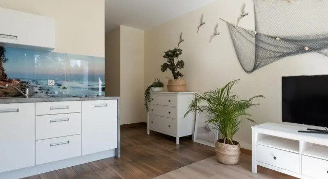 Апартаменты с видом на сад Apartamenty Maestro