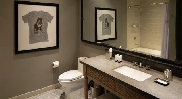 Двухместный номер Standard Hotel ZaZa Austin