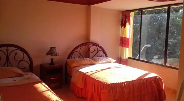 Standard single cameră cu vedere Hostal Olympic
