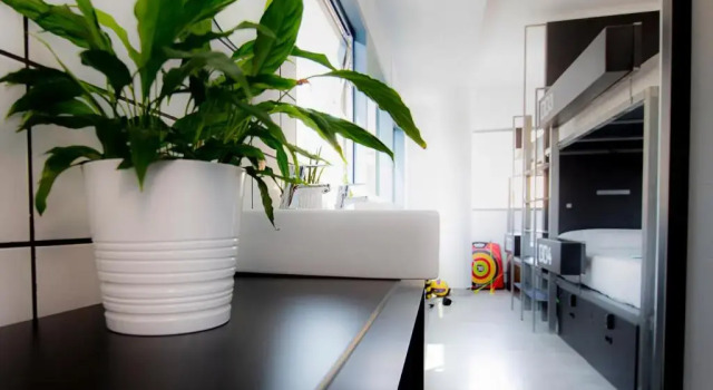 Семейный номер Standard Bea Beach Hostel