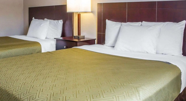 Standard Vierer Zimmer Econo Lodge