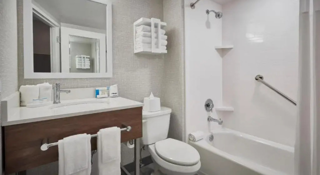 Двухместная студия Hampton Inn by Hilton Harrisburg West