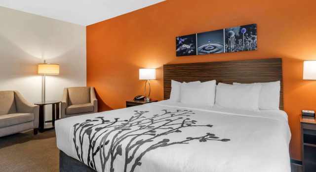 Двухместный номер Standard MainStay Suites Moab near Arches National Park