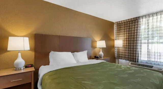 Номер Standard Quality Inn Saint Petersburg North-Tampa Bay