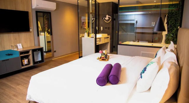 Люкс Deluxe Palmetto Hotel Business San Borja