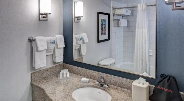 Двухместный полулюкс Hilton Garden Inn Savannah Airport