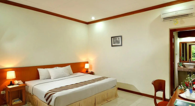 Полулюкс Hotel Dana Solo