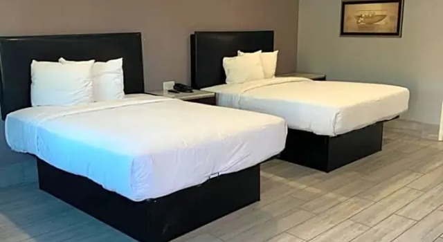 Двухместный номер Standard Willow Tree Inn & Suites