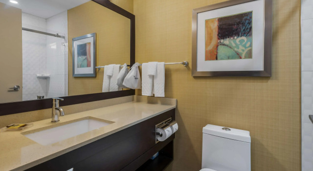 Двухместный номер Standard Best Western Plus Chateau Fort St. John