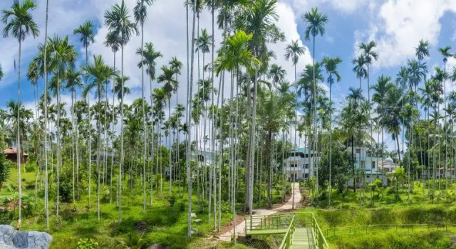 Wayanad Fort Resort, Забронировать Курортный отель Курортные отели штата Кералы, Курортный отель