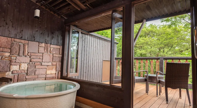 Номер Standard с балконом Hakone Fontaine Bleau Sengokutei