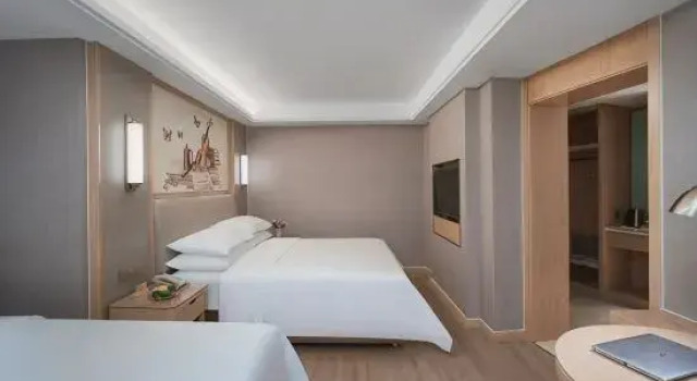 Люкс Deluxe Vienna Hotel Tianjin Olympic Sports Center Tianta