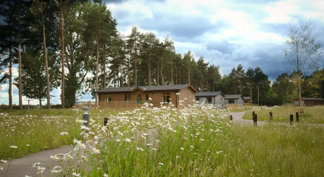 Hollicarrs - Forest Retreat, Забронировать Отель Бизнес-отели Англии, 4* 5*