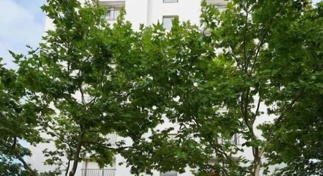 BeGuest Cascais Inn Apartments, Забронировать Апартаменты/квартира Апартаменты Кашкайш, рядом с Торговый центр CascaisVilla, Апартаменты/квартира