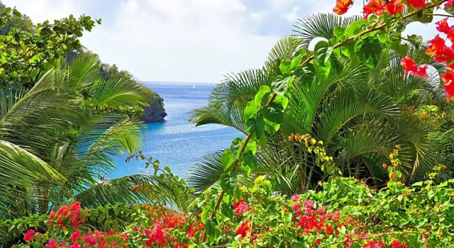 Номер Standard с видом на закат Marigot Beach Club & Dive Resort