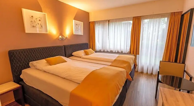Двухместный номер Standard с видом на горы Chalet-Hotel Beau-Site