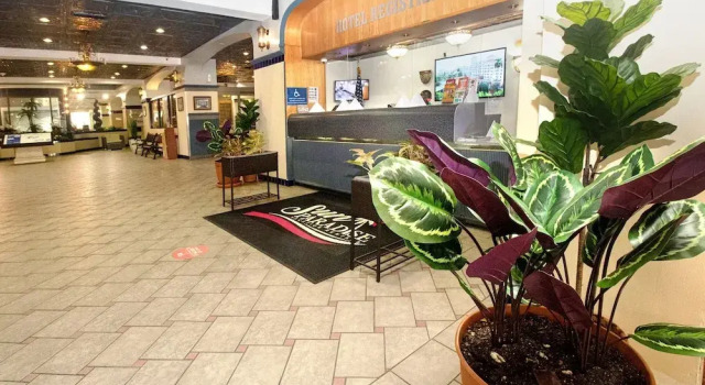 303 Ocean View Apt Hollywood Beach, Rezerwuj Apartament Hollywood Panhandle Florida