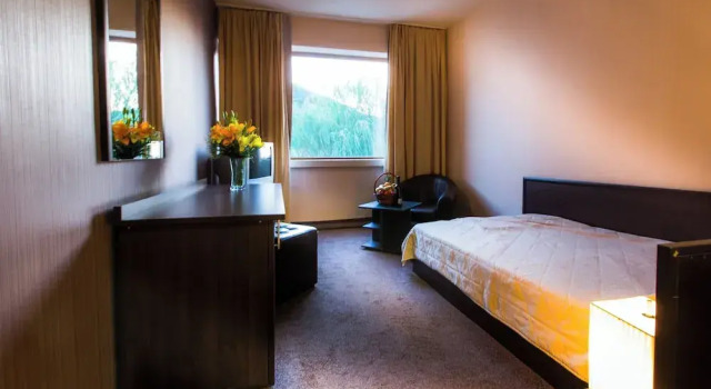 Номер Business Hemus Hotel - Vratza