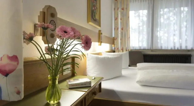Двухместный номер Standard Hotel Dreisonnenberg