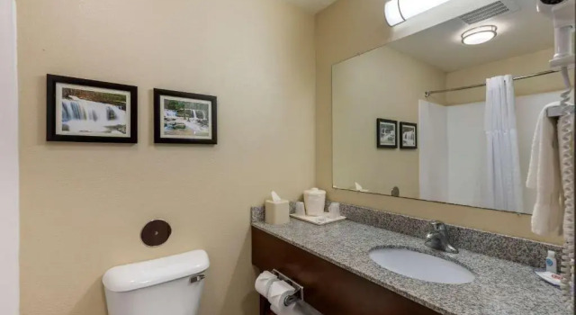 Номер Standard Comfort Inn & Suites Marion I-57