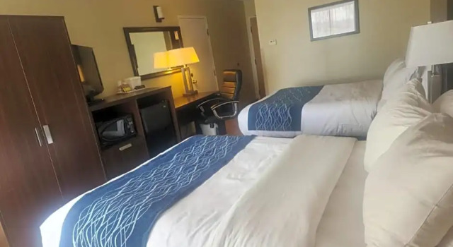 Номер Standard Comfort Inn