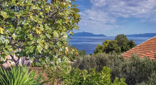 Villa Cincilograd, Prenota Villa Zavala 