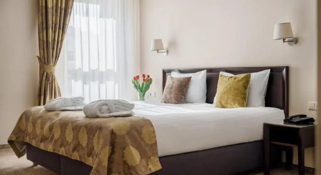 Двухместный номер Business Euterpe Hotel