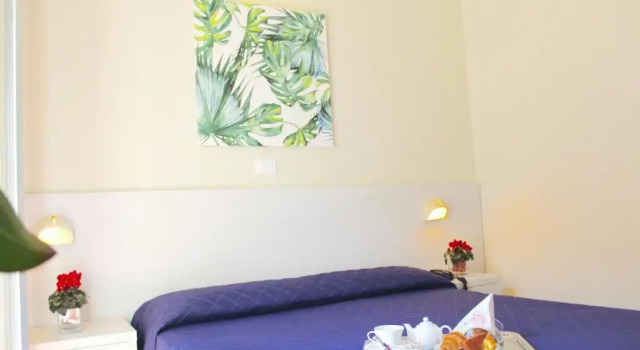 Двухместный номер Standard с видом на море Hotel Fedora Rimini