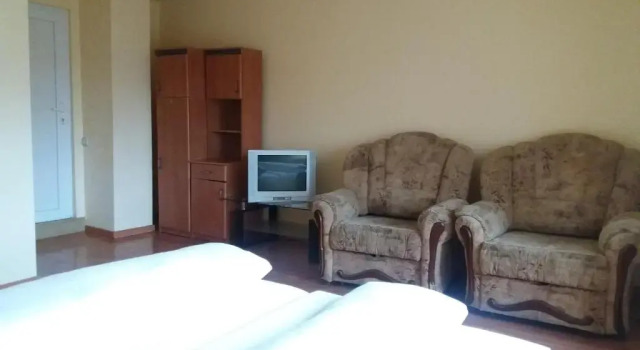 Номер Superior Pensiunea Driver