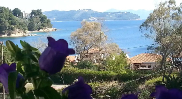 Апартаменты Tzaneria Apartments Skiathos