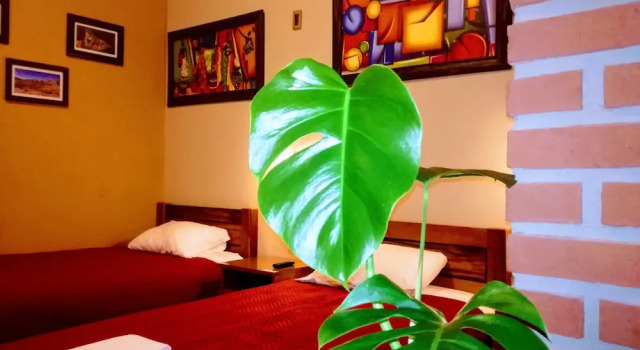 Трёхместный номер Comfort Hostal Cagnapa Restobar