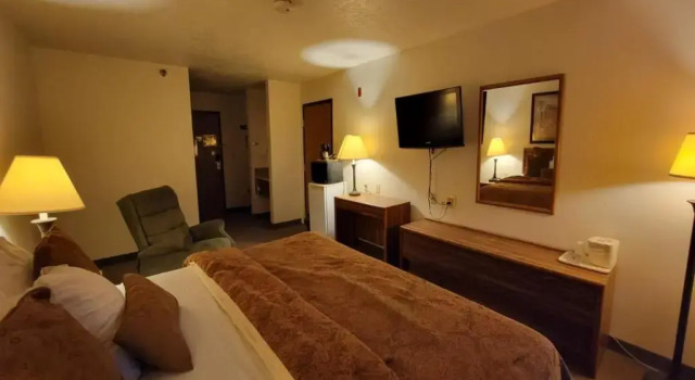 Standard Zimmer Single Tree Inn