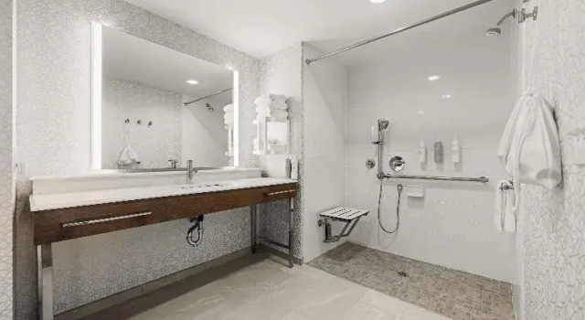 Студия Hampton Inn & Suites Bessemer Birmingham