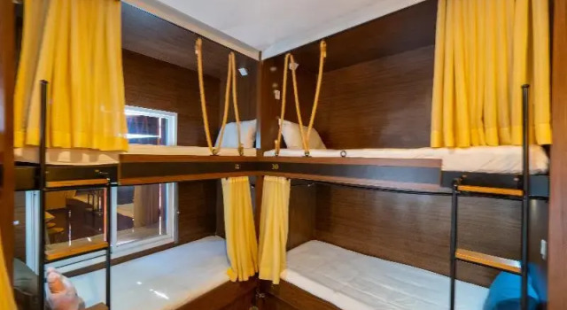 Номер Standard OYO 895 The Onion Hostel