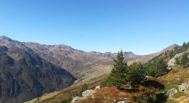 Апартаменты Alpenchalet Zillertal
