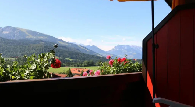 Двухместный номер Standard с балконом Hotel Sonnleiten