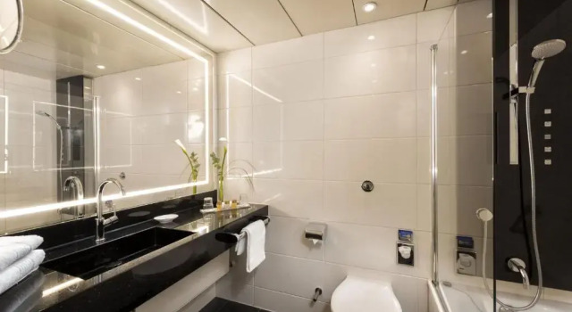 Двухместный номер Standard Maritim Hotel Bonn