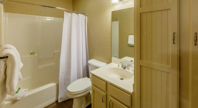 Двухместная вилла с 2 комнатами Holiday Inn Club Vacations Apple Mountain Resort