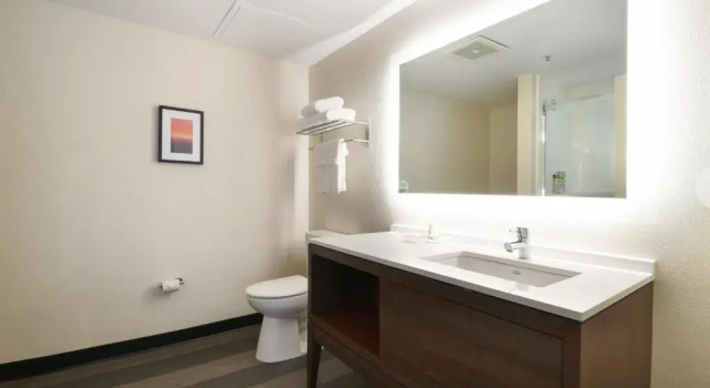 Люкс Holiday Inn Fredericksburg - Conference Center by IHG