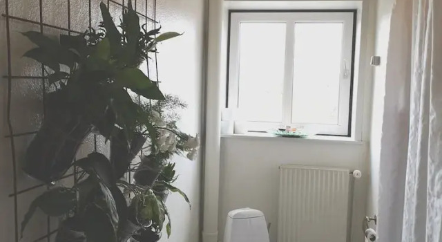 Suite Struckshus