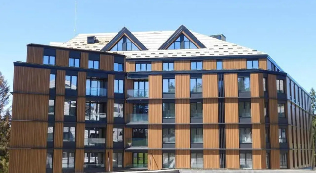 Woodside apartman kopaonik 315