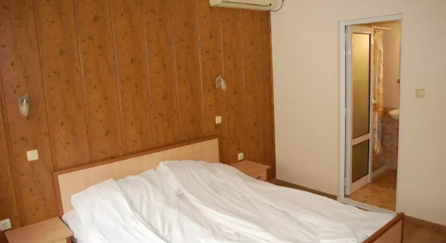 Standardní Dvoulůžkový s manželskou postelí pokoj Hotel Vitosha