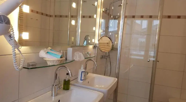 Одноместный номер Standard Bio- und Wellnesshotel Alpenblick