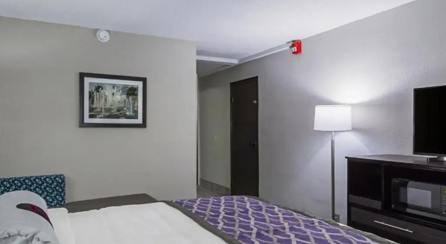 Номер Standard Spark by Hilton Knoxville North I-75